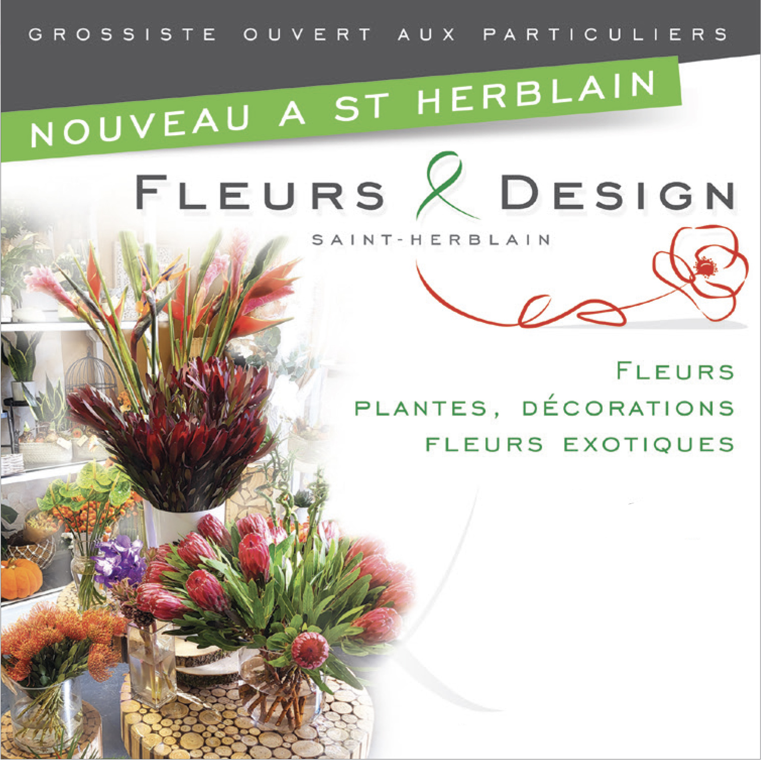 Nouveau ! Grossiste fleurs et fleurs exotiques à Saint Herblain